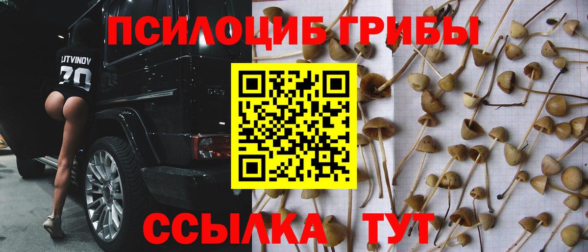 Галлюциногенные грибы Magic Shrooms  Галлюциногенные грибы мухоморы  Трёхгорный  Вход с VPN 