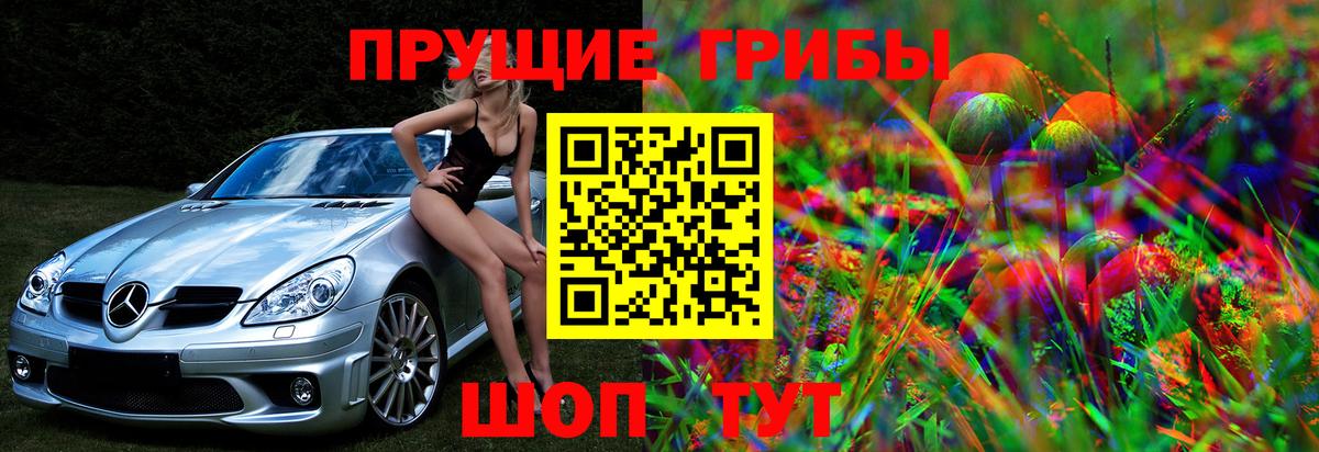 Псилоцибиновые грибы MAGIC MUSHROOMS Трёхгорный
