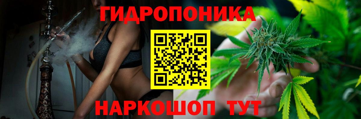 Каннабис конопля Трёхгорный